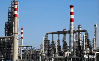 五年以后中國是否會只剩下巨型的化工企業(yè)