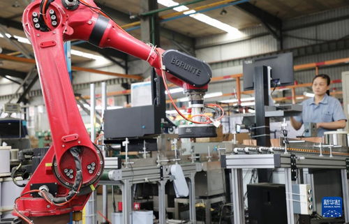 山東滕州 做強(qiáng)主導(dǎo)產(chǎn)業(yè) 助推工業(yè)經(jīng)濟(jì)駛?cè)?快車道